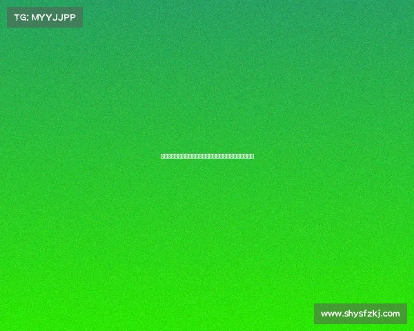 赛事计划的核心要素：全面构建创新可行的比赛组织方案指南